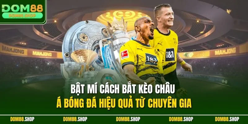 Bật mí cách bắt kèo châu Á bóng đá hiệu quả từ chuyên gia