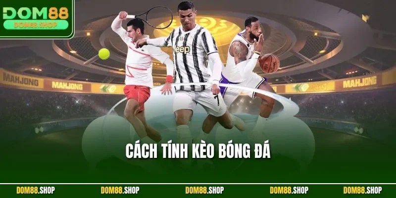 Cách tính kèo bóng đá