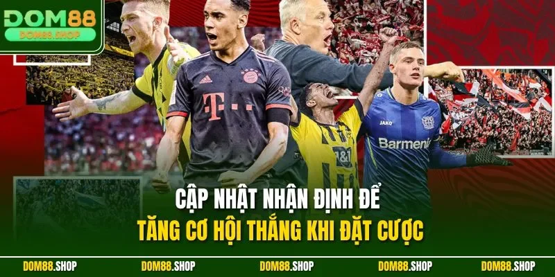 Cập nhật nhận định để tăng cơ hội thắng khi đặt cược