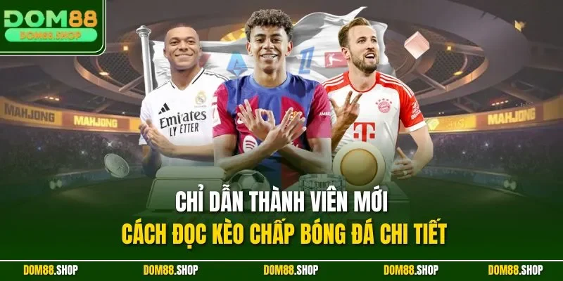 Chỉ dẫn thành viên mới cách đọc kèo chấp bóng đá chi tiết