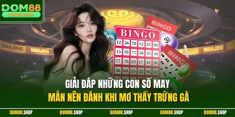 Giải đáp những con số may mắn nên đánh khi mơ thấy trứng gà