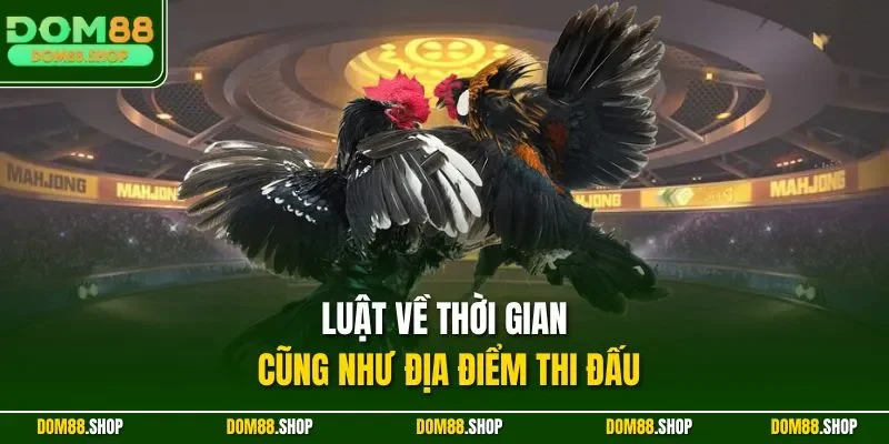 Luật về thời gian cũng như địa điểm thi đấu