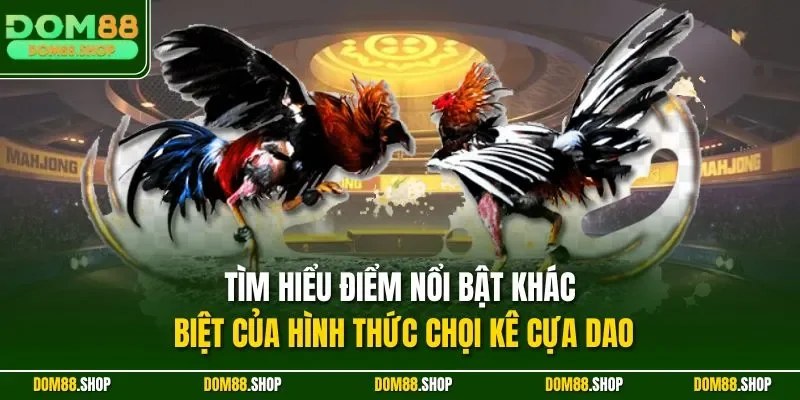 Tìm hiểu điểm nổi bật khác biệt của hình thức chọi kê cựa dao