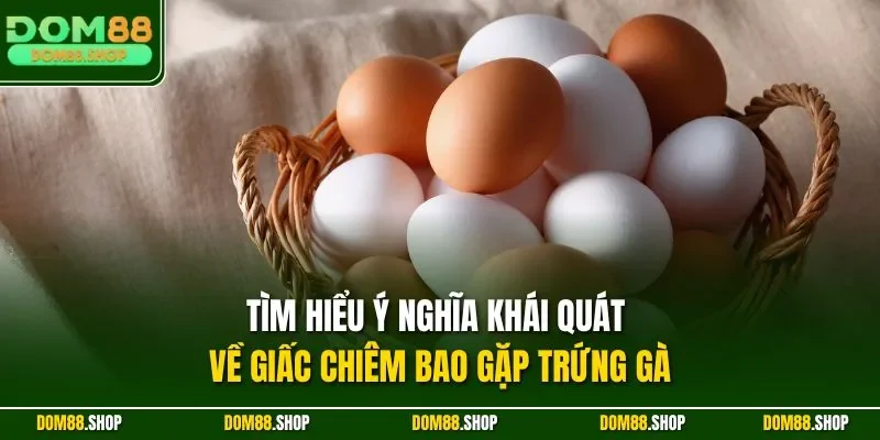 Tìm hiểu ý nghĩa khái quát về giấc chiêm bao gặp trứng gà
