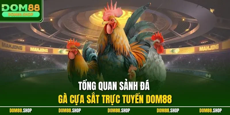 Tổng quan sảnh đá gà cựa sắt trực tuyến DOM88