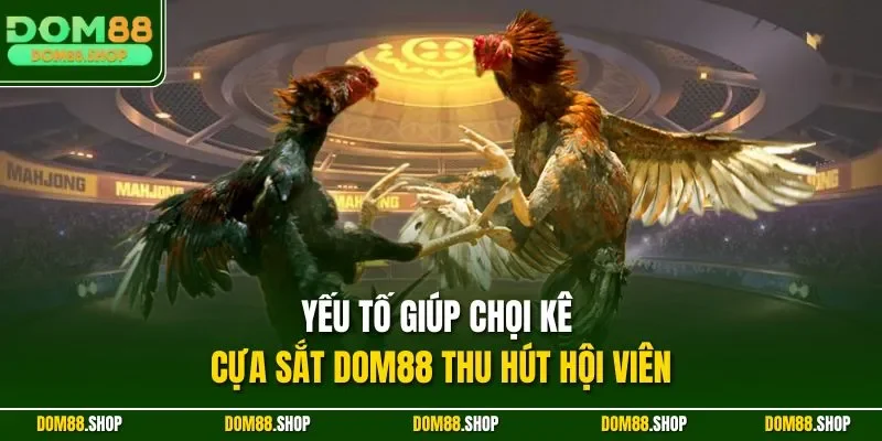 Yếu tố giúp chọi kê cựa sắt DOM88 thu hút hội viên